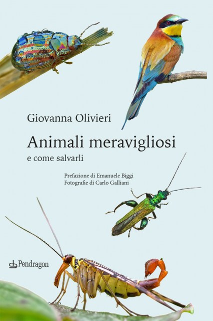 Cover Olivieri 2024